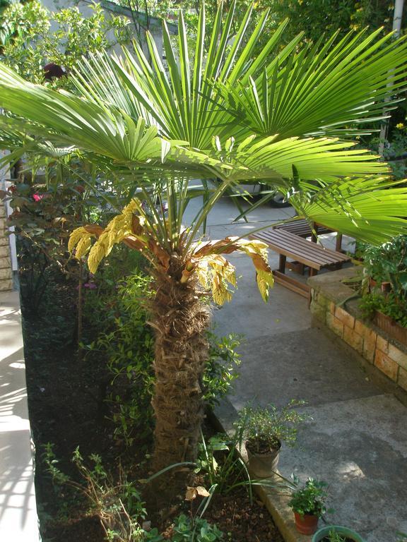 Apartment Rojnic Pula Luaran gambar